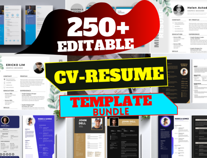 250+High Quality Editable CV Resume Template Bundle 1